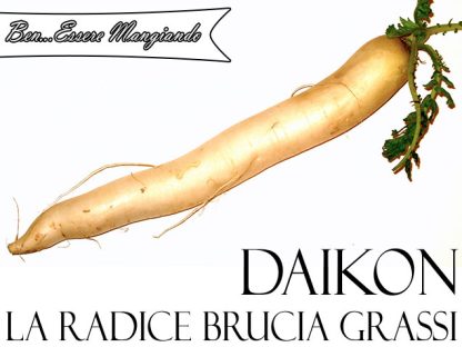 DAIKON BIOLOGICO - immagine 3